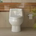 توالت فرنگی گلسار مدل مارانتا